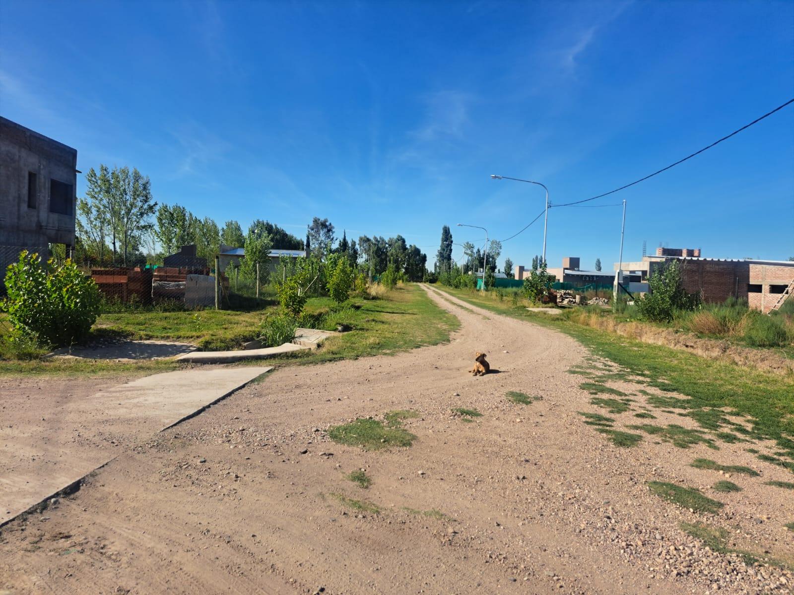 Terreno / Lote en venta de 960m2 ubicado en San Rafael - foto 4