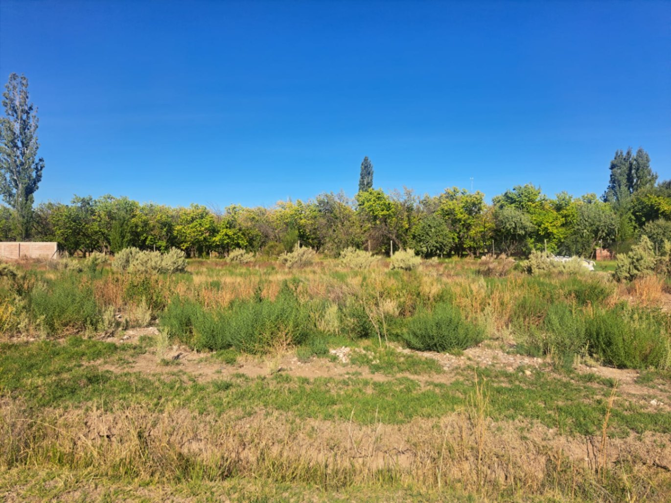Terreno / Lote en venta de 960m2 ubicado en San Rafael - foto 1