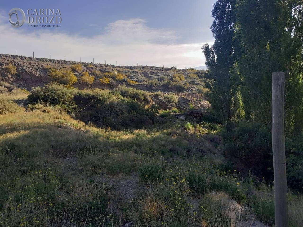 Terreno / Lote en venta de 2954m2 ubicado en Potrerillos - foto 3