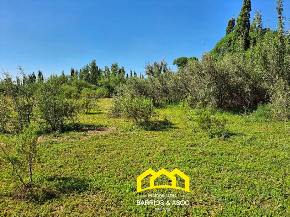 Terreno / Lote en venta de 9998m2 ubicado en San Rafael - foto 4