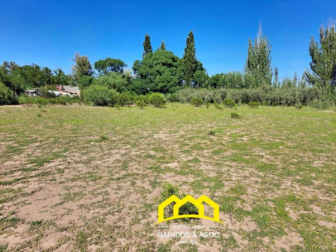 Terreno / Lote en venta de 9998m2 ubicado en San Rafael - foto 1