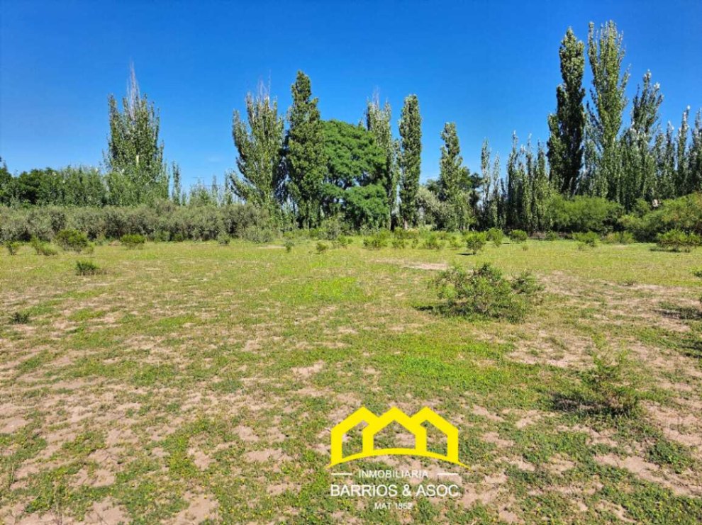 Terreno / Lote en venta de 9998m2 ubicado en San Rafael - foto 2