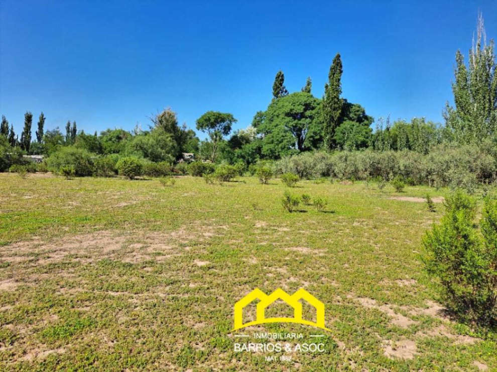Terreno / Lote en venta de 9998m2 ubicado en San Rafael - foto 3