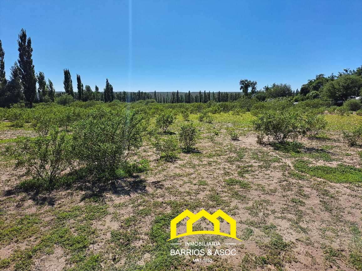 Terreno / Lote en venta de 9998m2 ubicado en San Rafael - foto 5