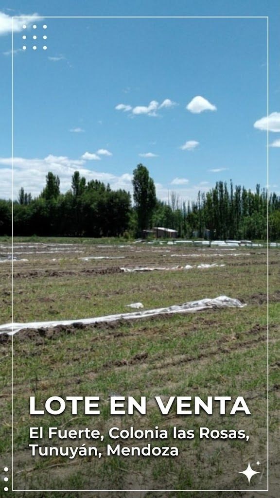 Terreno / Lote en venta de 2939.07m2 ubicado en Colonia Las Rosas - foto 1