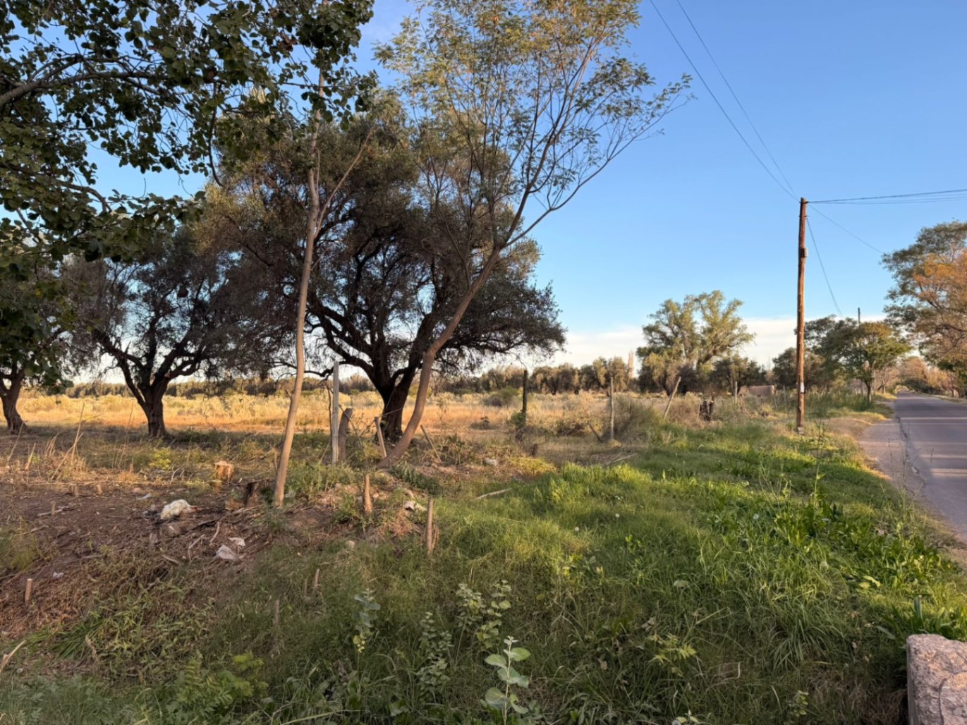 Terreno / Lote en venta de 2000m2 ubicado en El Cerrito - foto 4