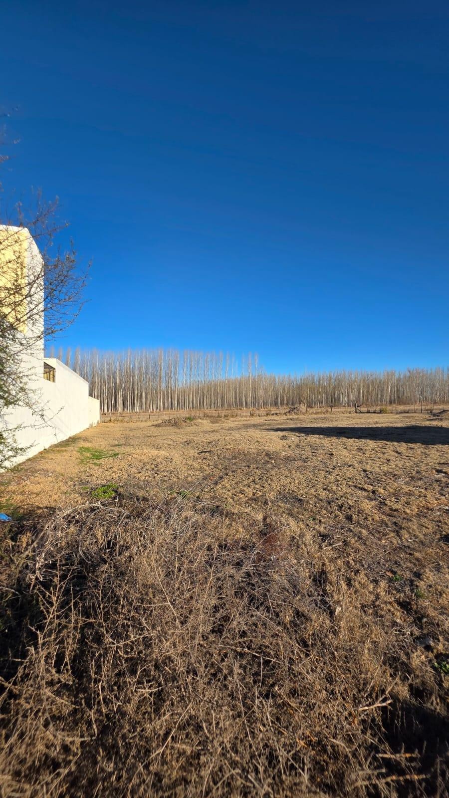 Terreno / Lote en venta de 529.56m2 ubicado en Raices del Valle - foto 5