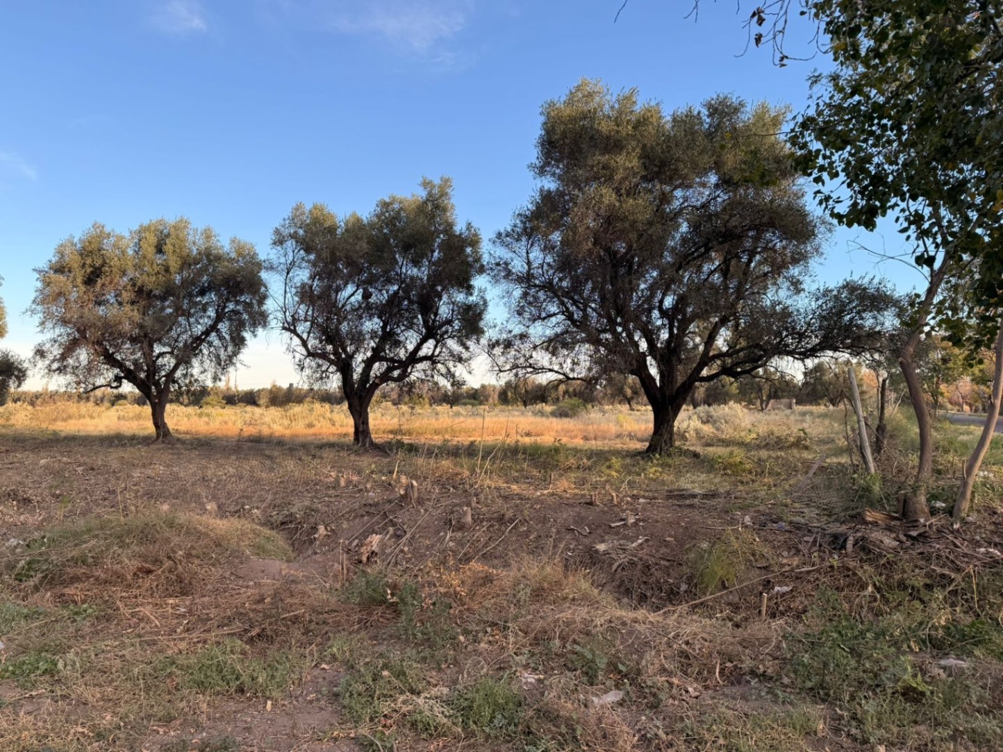 Terreno / Lote en venta de 2000m2 ubicado en El Cerrito - foto 2