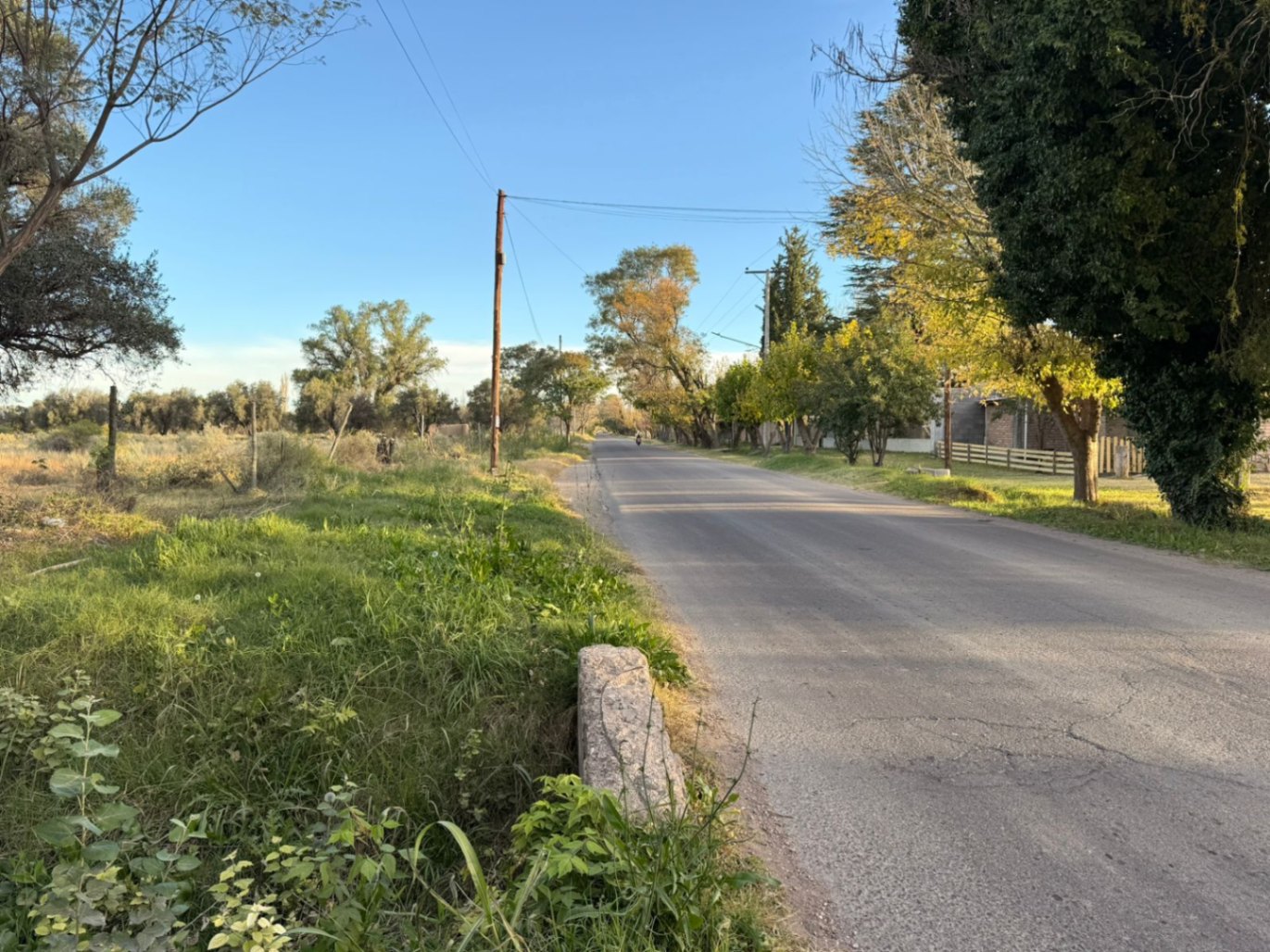 Terreno / Lote en venta de 2000m2 ubicado en El Cerrito - foto 3