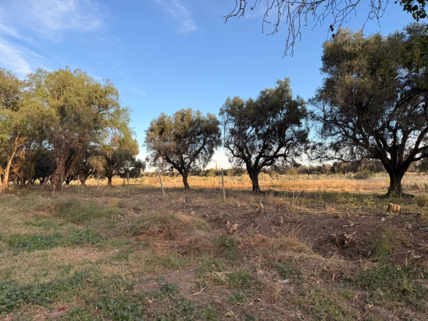 Terreno / Lote en venta de 2000m2 ubicado en El Cerrito - foto 1