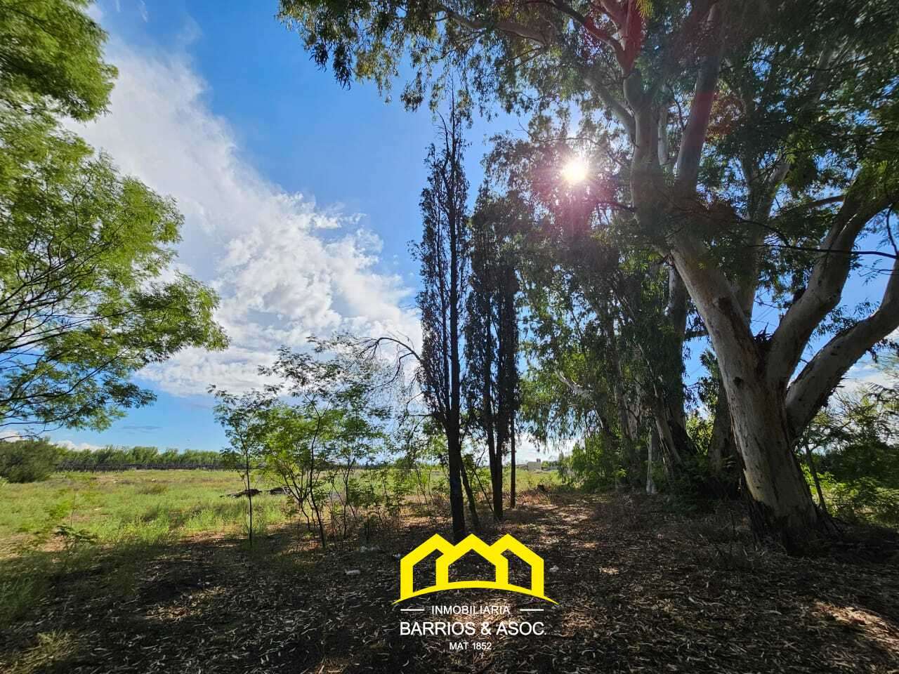 Terreno / Lote en venta de 50000m2 ubicado en San Rafael - foto 5