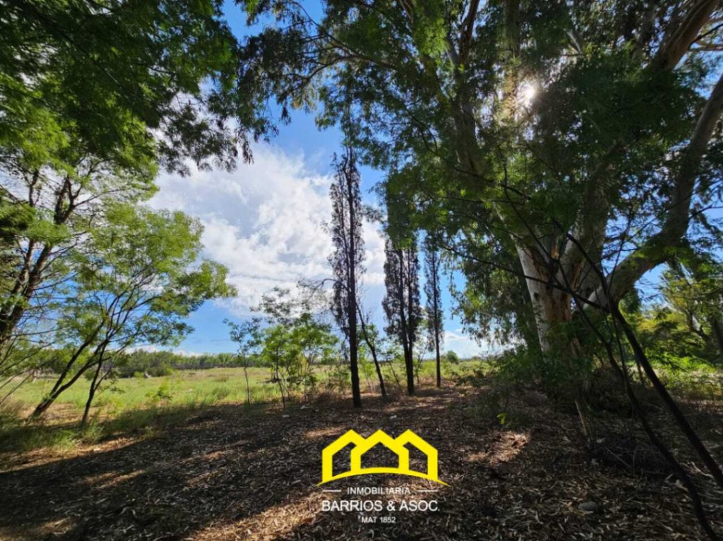 Terreno / Lote en venta de 50000m2 ubicado en San Rafael - foto 2