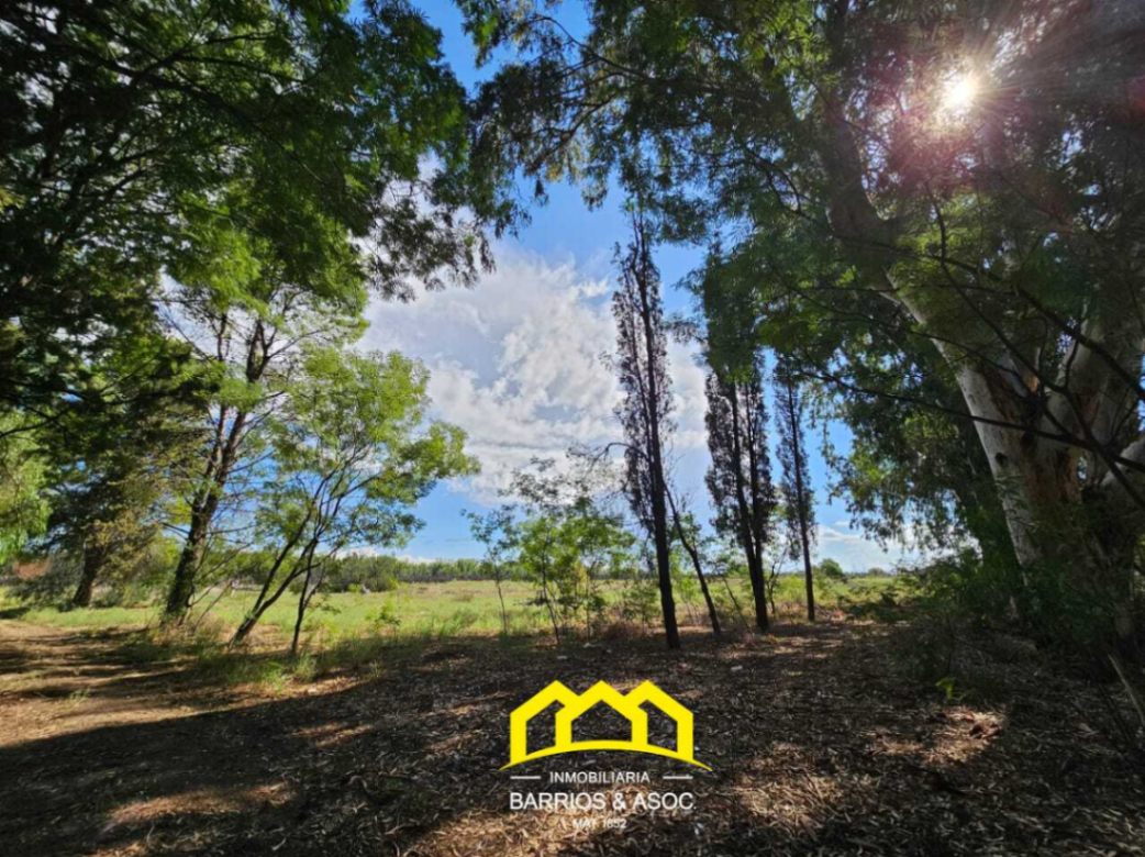 Terreno / Lote en venta de 50000m2 ubicado en San Rafael - foto 3