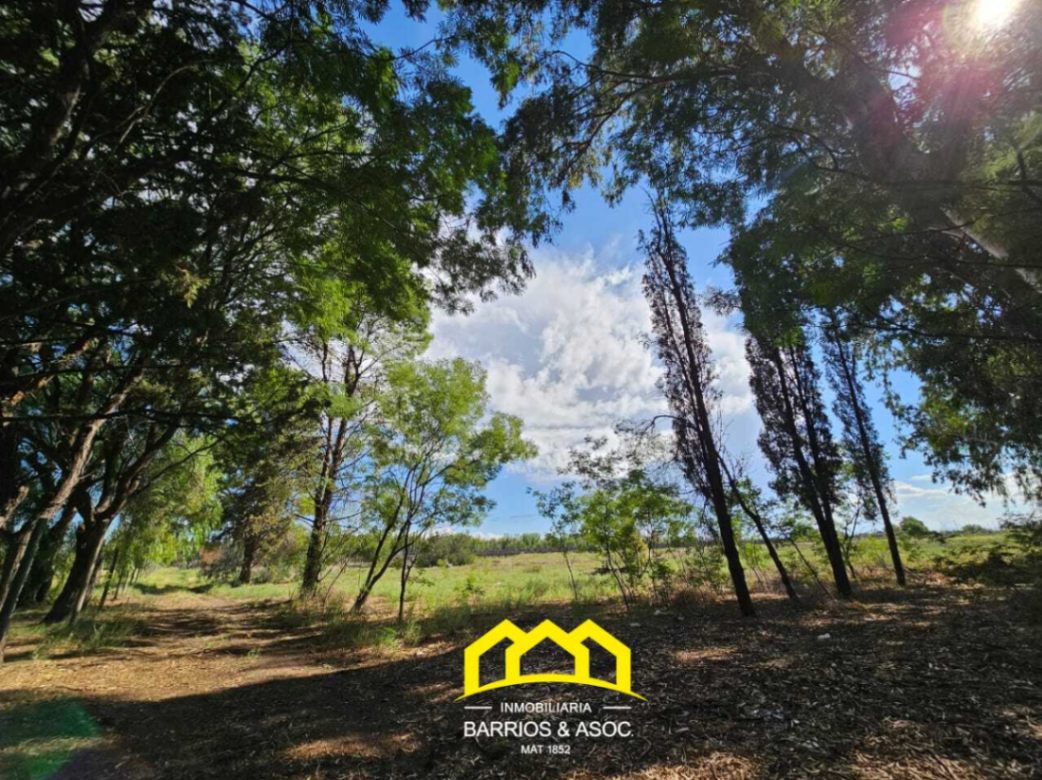 Terreno / Lote en venta de 50000m2 ubicado en San Rafael - foto 4