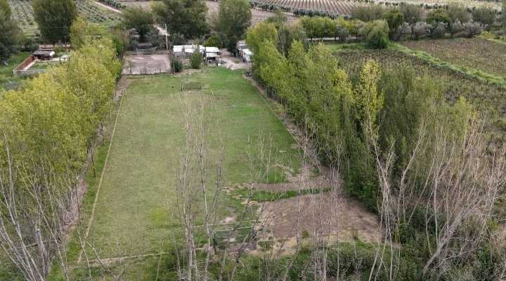 VENTA TERRENO 1 HA CON 3 CASAS- JUNÍN (CENTRO), MZA - foto 2