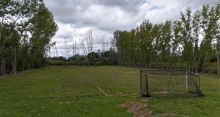VENTA TERRENO 1 HA CON 3 CASAS- JUNÍN (CENTRO), MZA - foto 4