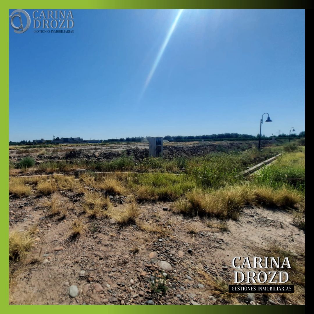 Terreno / Lote en venta de 1100m2 ubicado en Lunlunta - foto 5