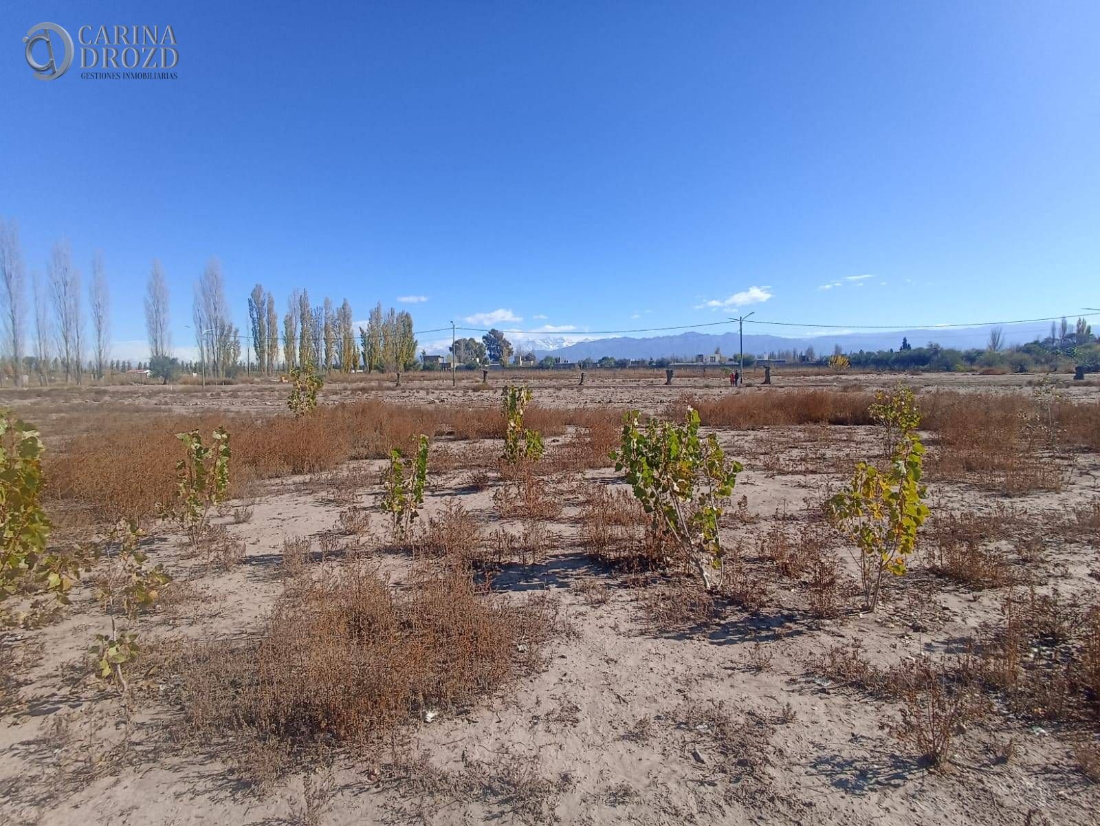 Terreno / Lote en venta de 1030m2 ubicado en Mayor Drummond - foto 5