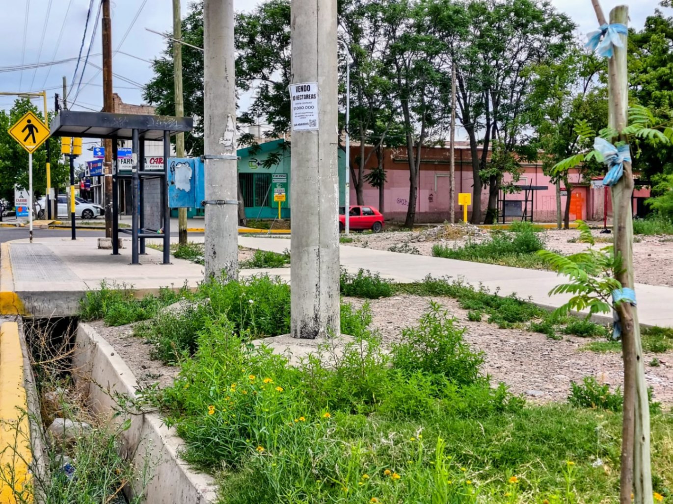 Terreno / Lote en venta de 53200m2 ubicado en Rodeo de la Cruz - foto 1