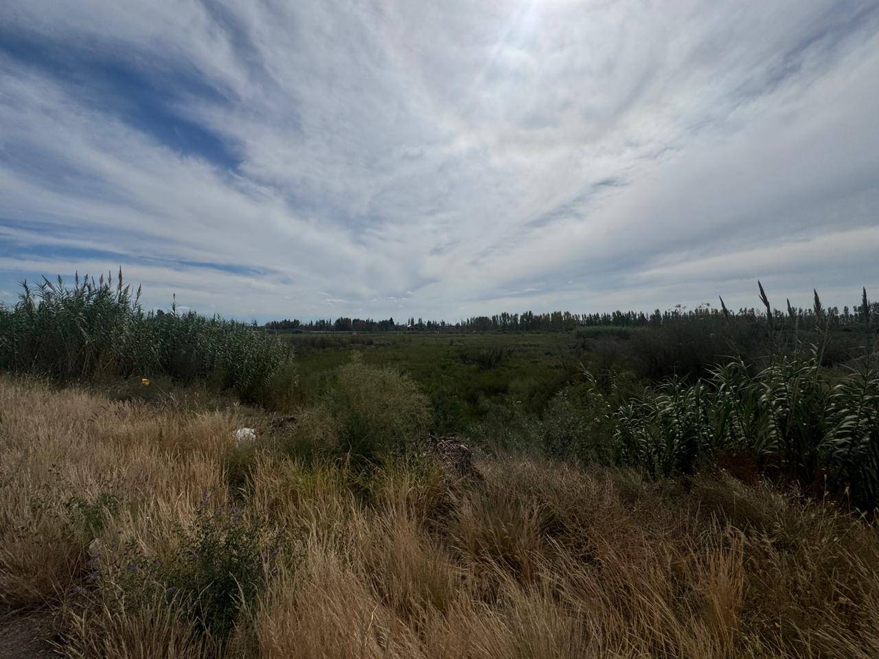 Terreno / Lote en venta de 82200m2 ubicado en Barrancas - foto 4