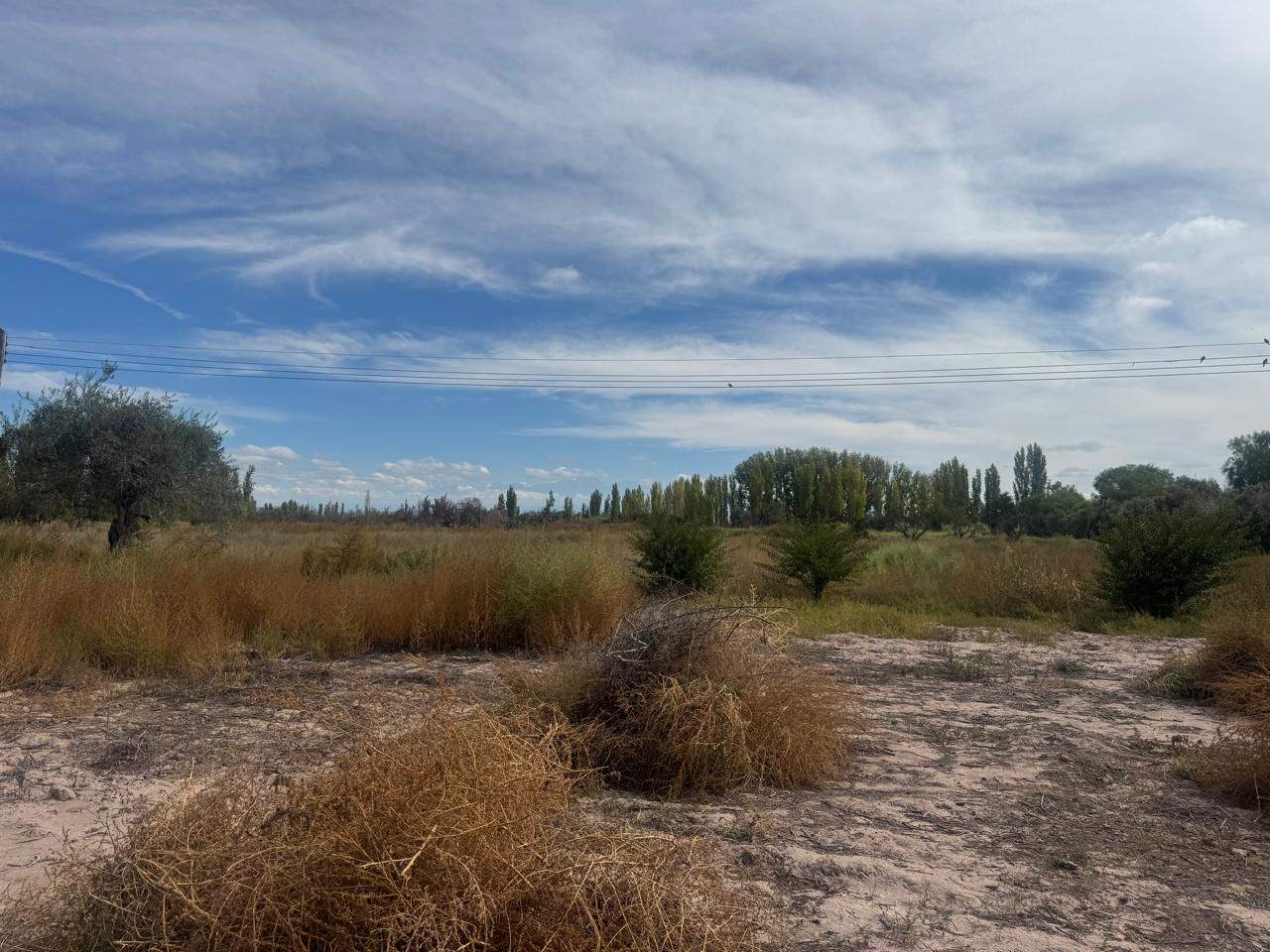 Terreno / Lote en venta de 82200m2 ubicado en Barrancas - foto 1