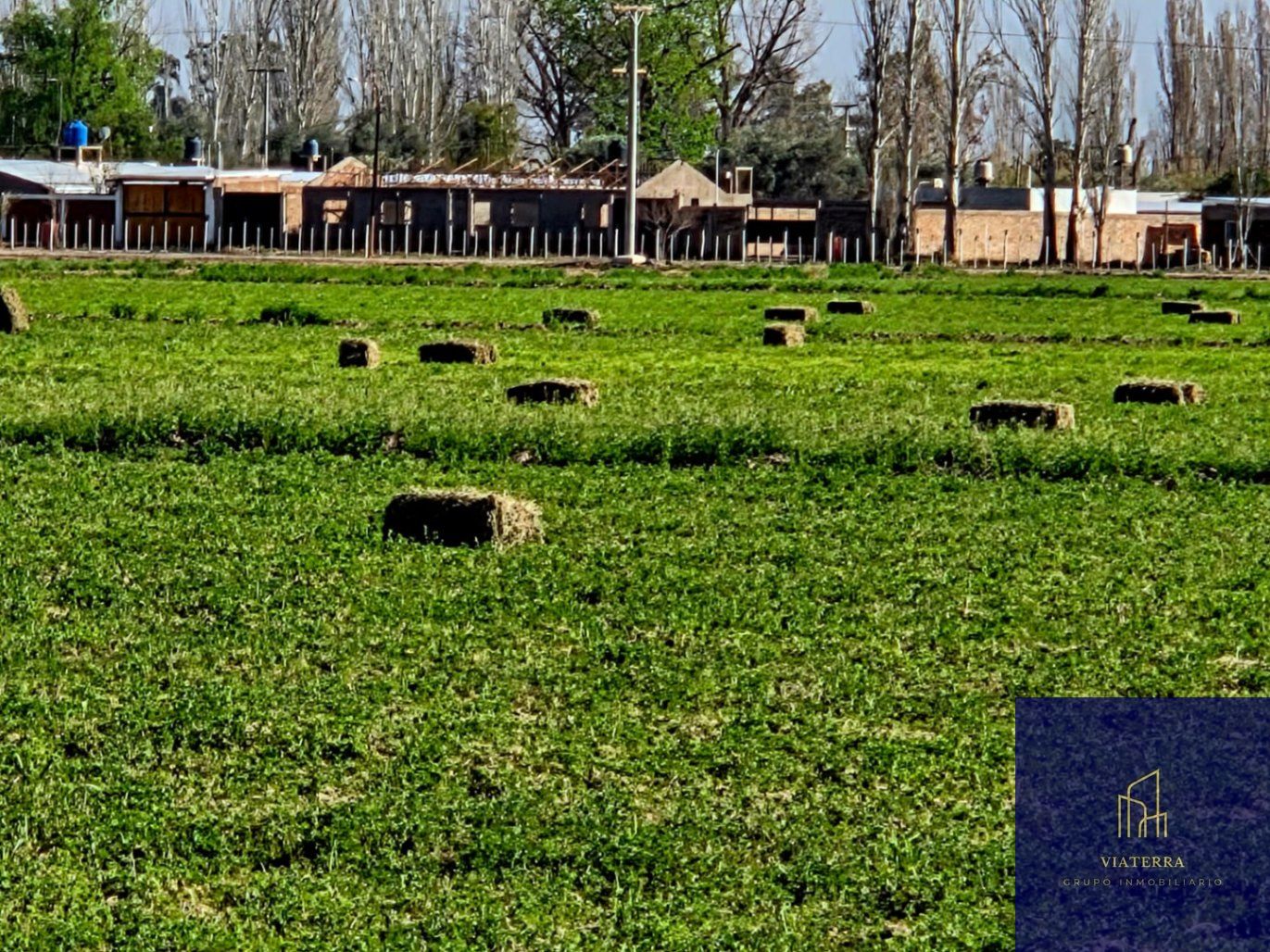 Sin título - foto 4