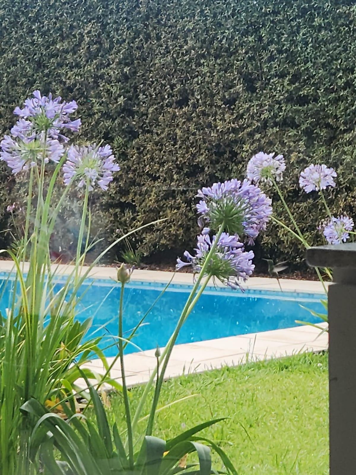 Casa en venta c/ cochera en San Rafael - foto 3