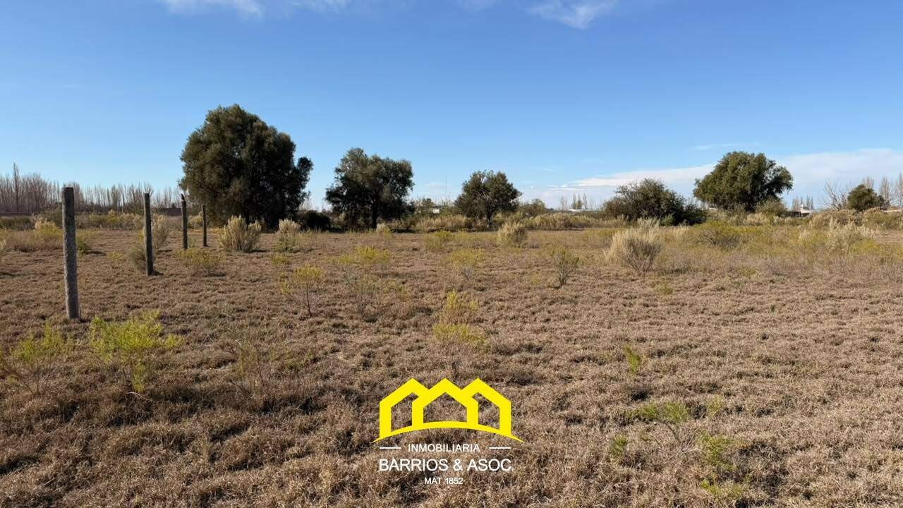 Terreno / Lote en venta de 2177m2 ubicado en San Rafael - foto 3