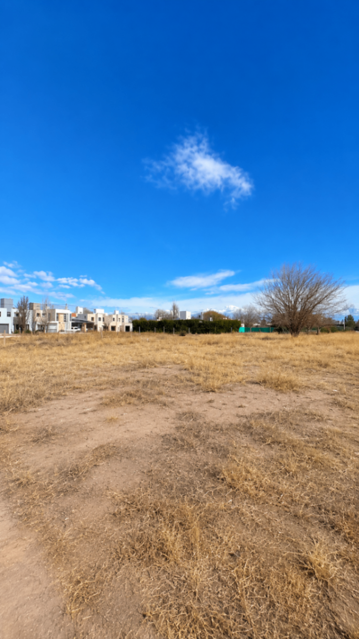 Terreno en B° Fenca / Lote en venta de 230m2 ubicado en Tunuyán - foto 2