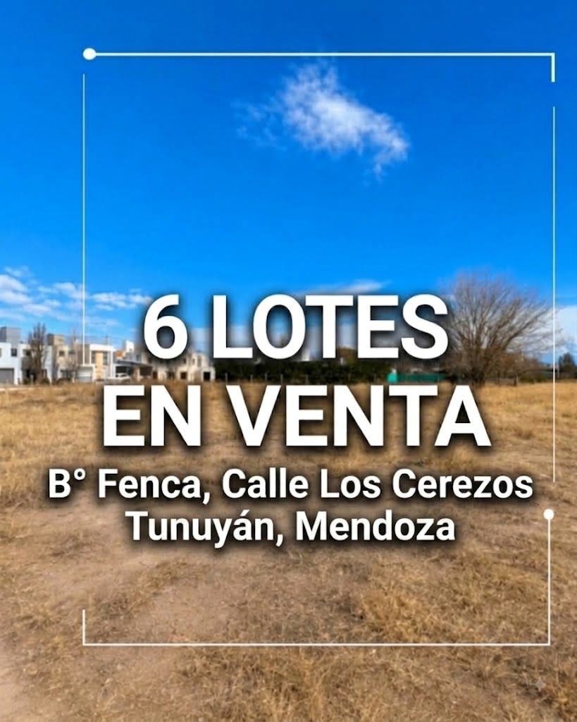 Terreno en B° Fenca / Lote en venta de 230m2 ubicado en Tunuyán - foto 1