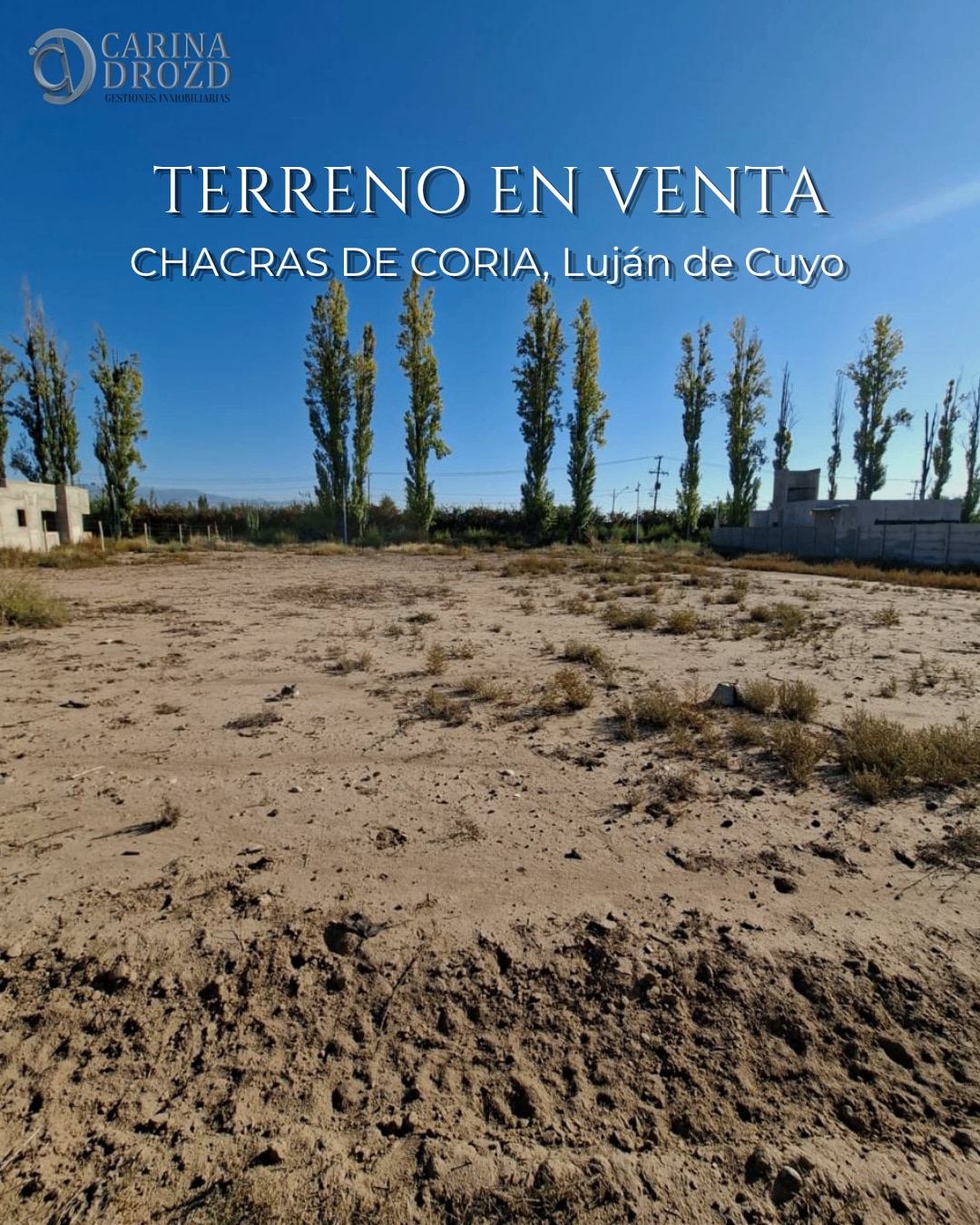 Terreno / Lote en venta de 786m2 ubicado en Chacras de Coria - foto 1