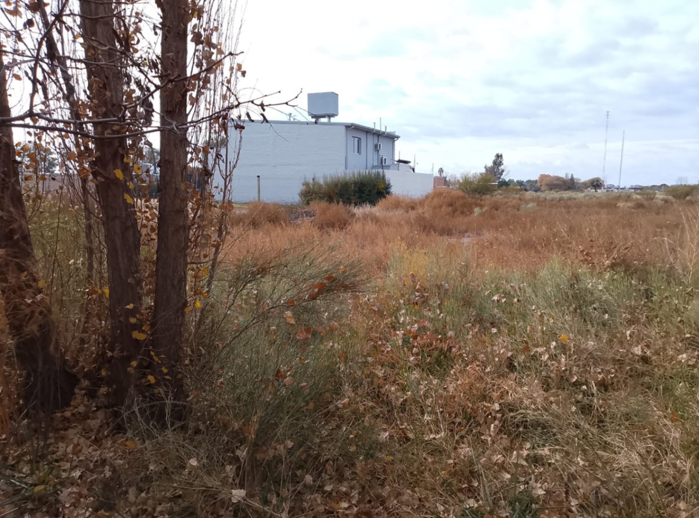 Terreno / Lote en venta de 1253m2 ubicado en San Rafael - foto 1