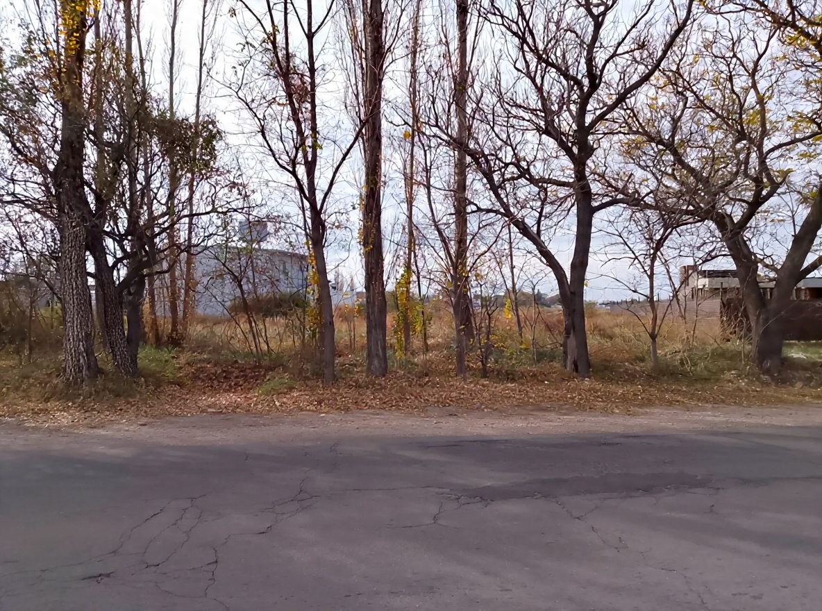 Terreno / Lote en venta de 1253m2 ubicado en San Rafael - foto 5