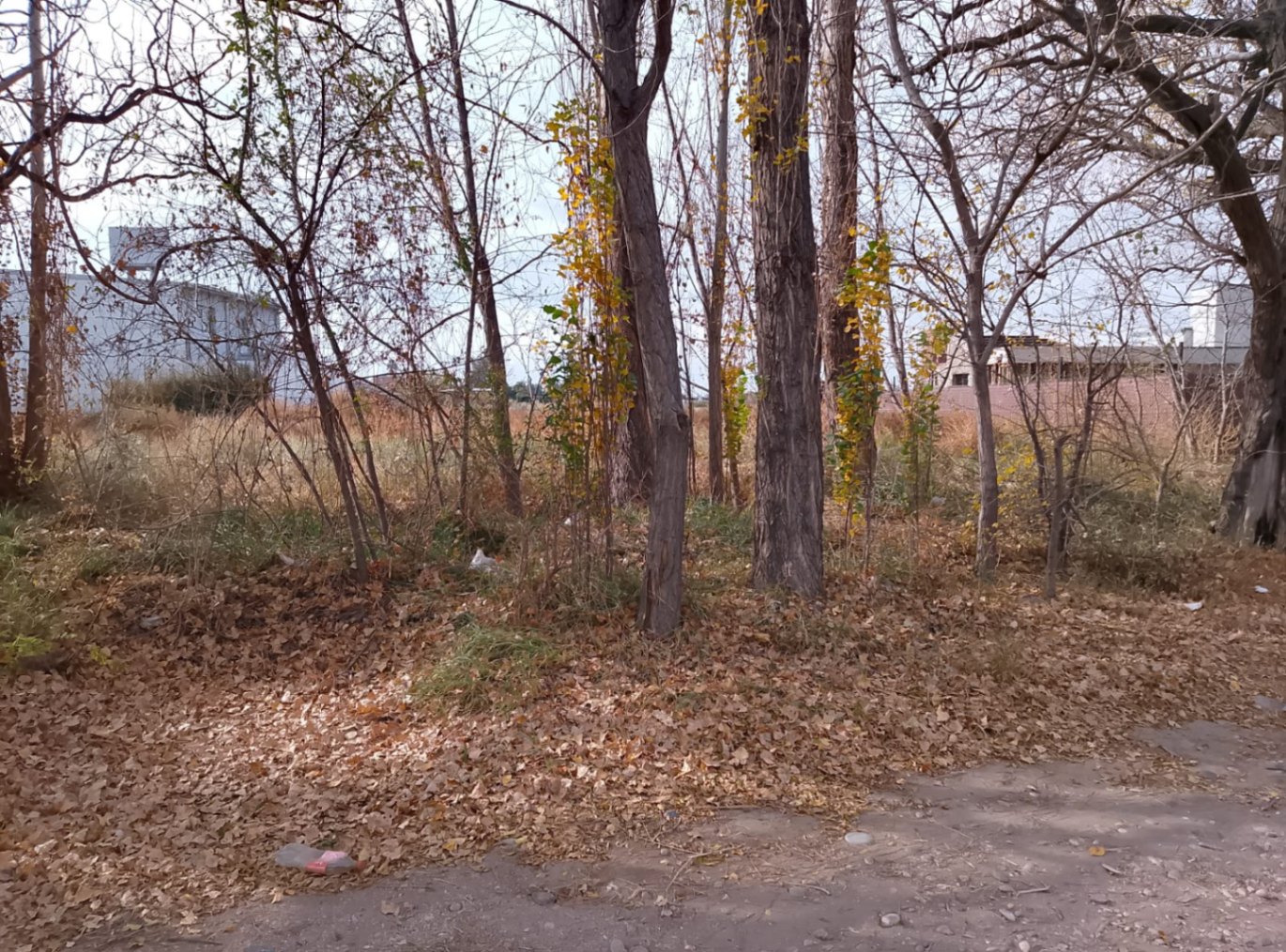 Terreno / Lote en venta de 1253m2 ubicado en San Rafael - foto 3