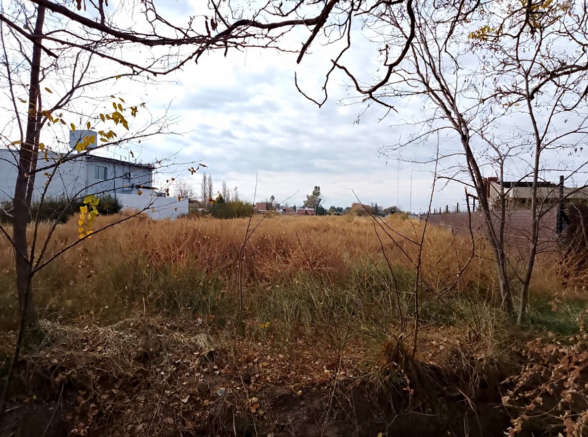 Terreno / Lote en venta de 1253m2 ubicado en San Rafael - foto 4