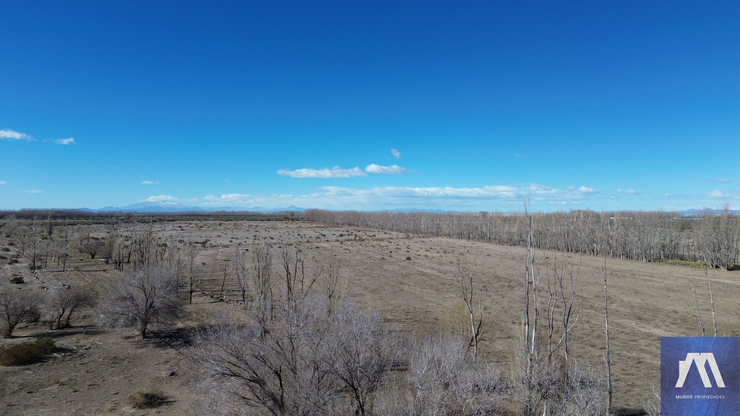 Campo en venta de 1305ha ubicado en Malargue - foto 2