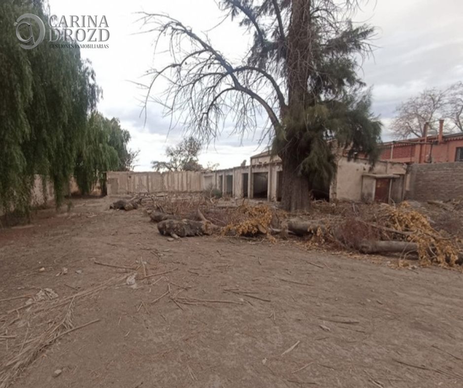 Terreno / Lote en venta de 2354m2 ubicado en Buena Nueva - foto 5