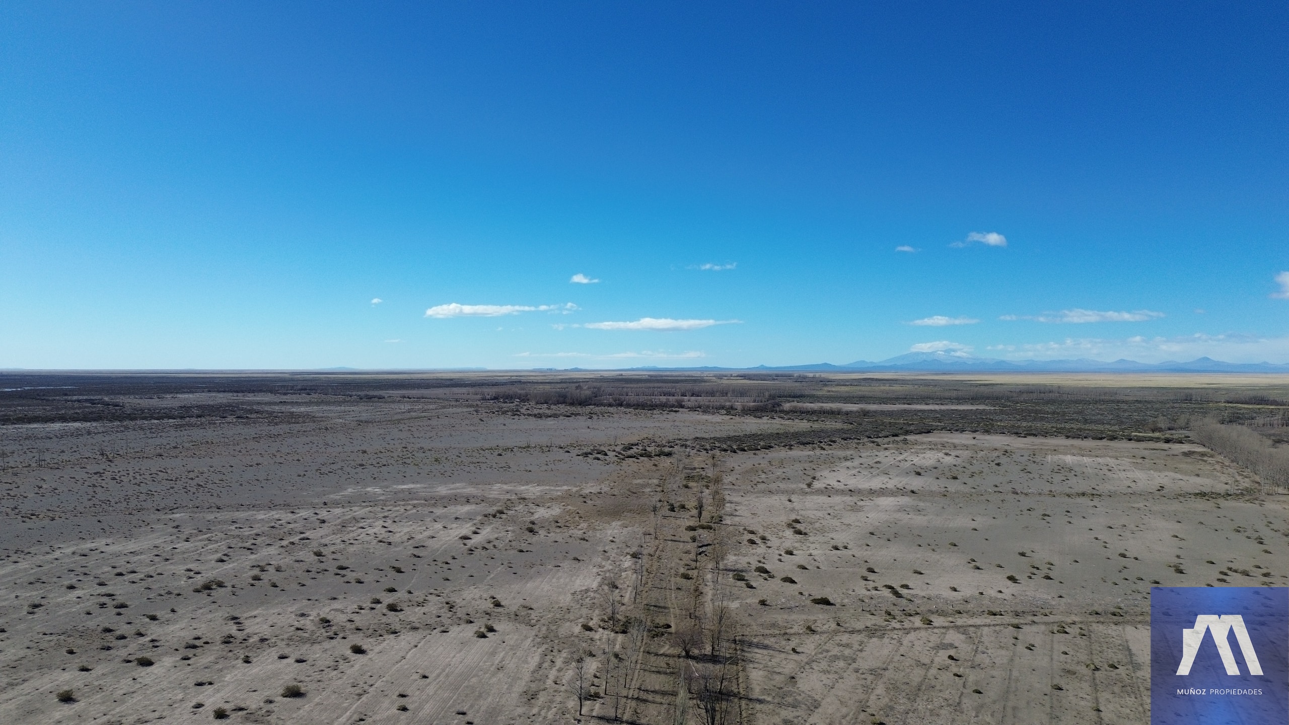 Campo en venta de 1305ha ubicado en Malargue - foto 5