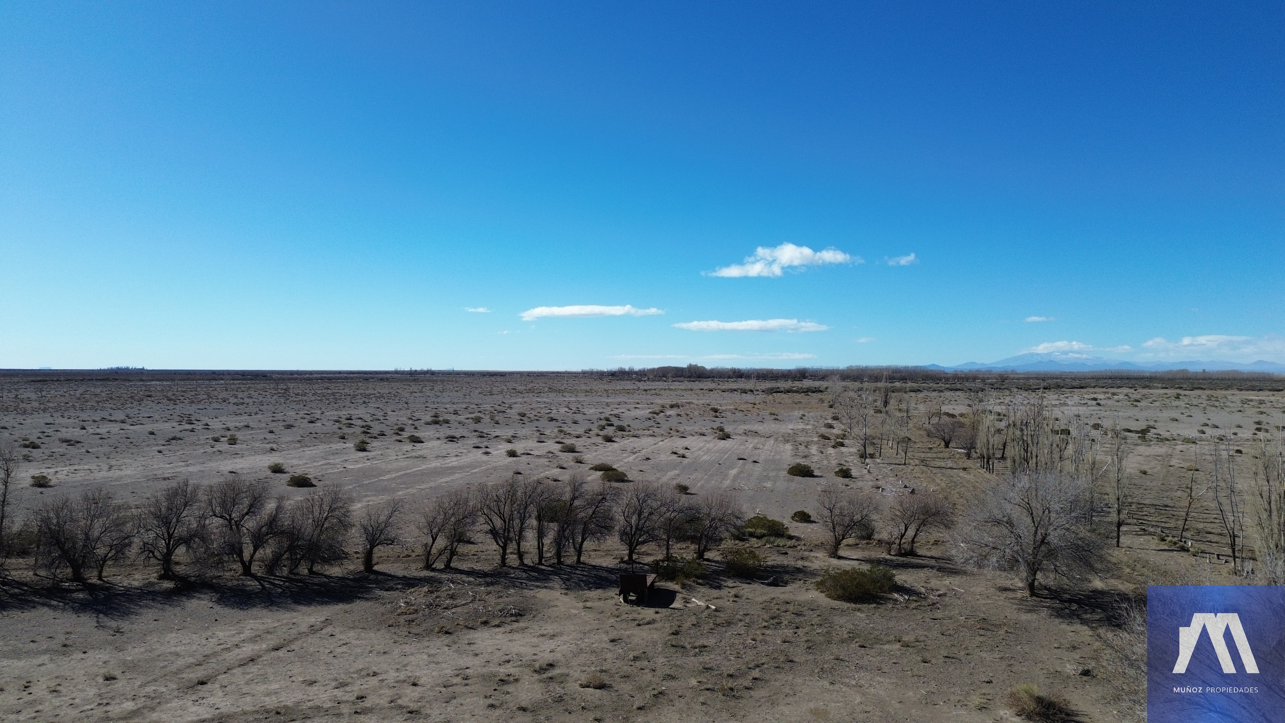 Campo en venta de 1305ha ubicado en Malargue - foto 4