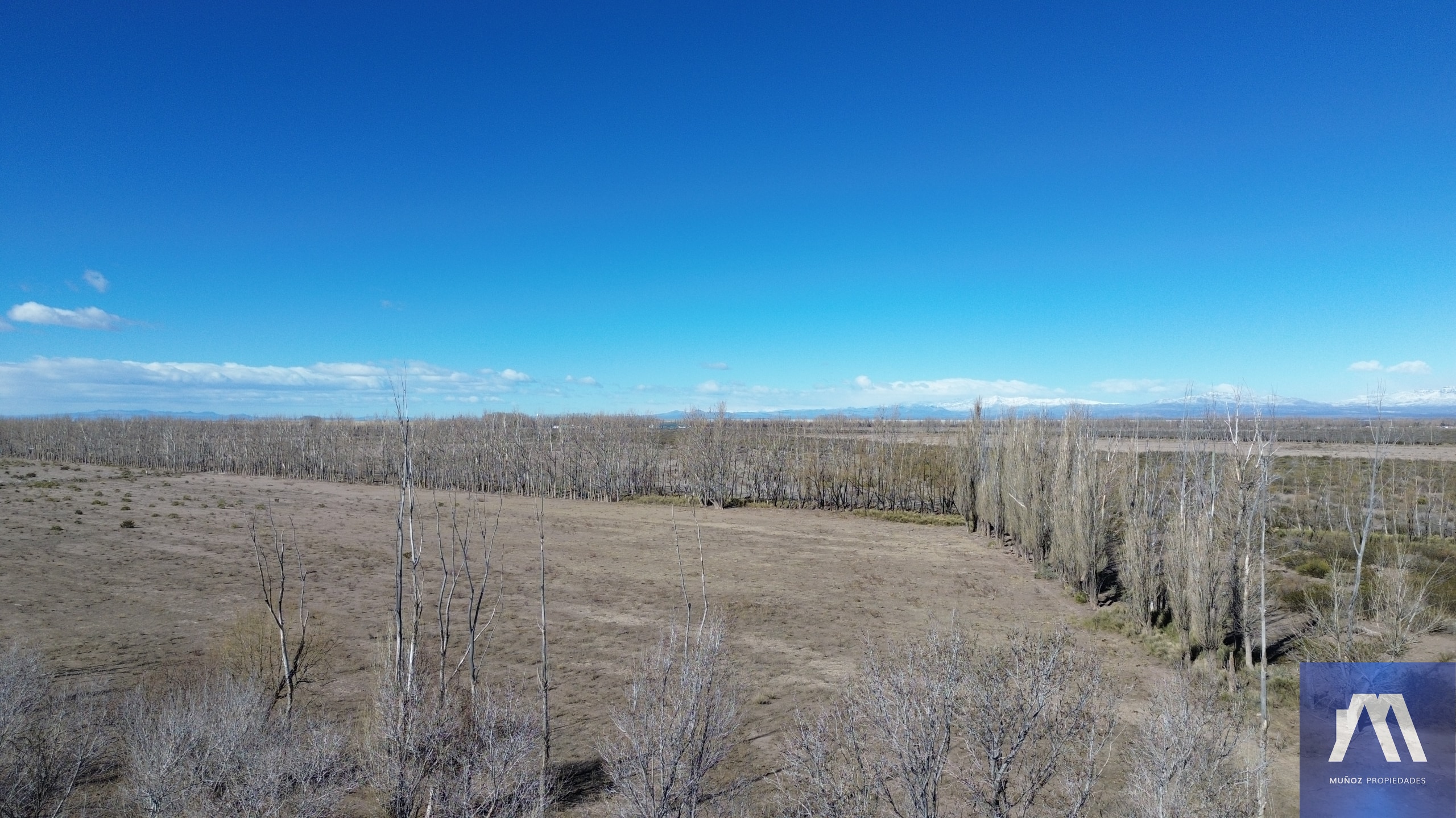 Campo en venta de 1305ha ubicado en Malargue - foto 1