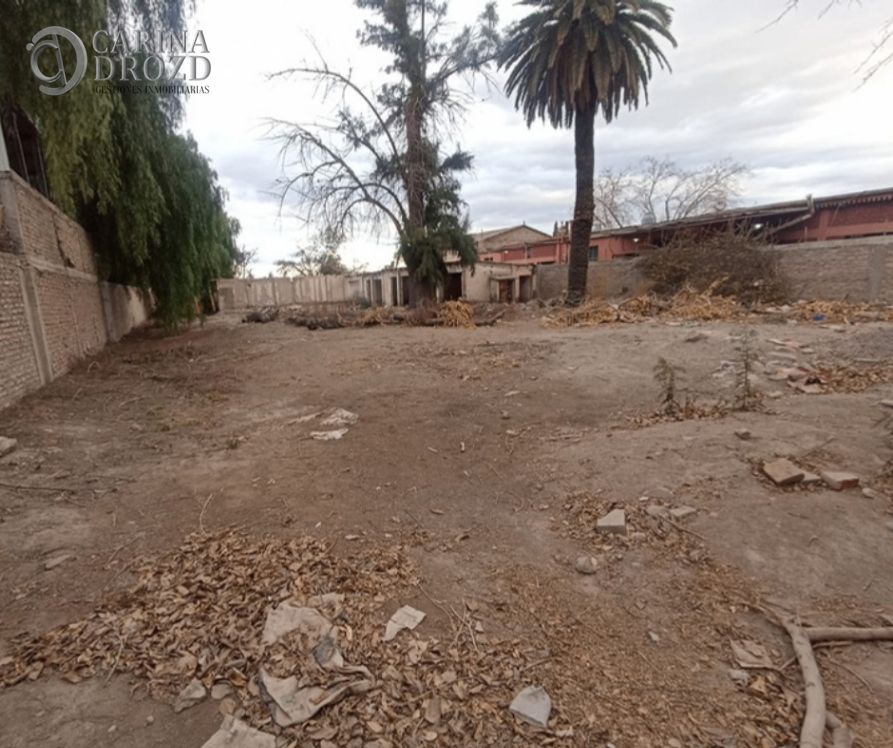 Terreno / Lote en venta de 2354m2 ubicado en Buena Nueva - foto 2