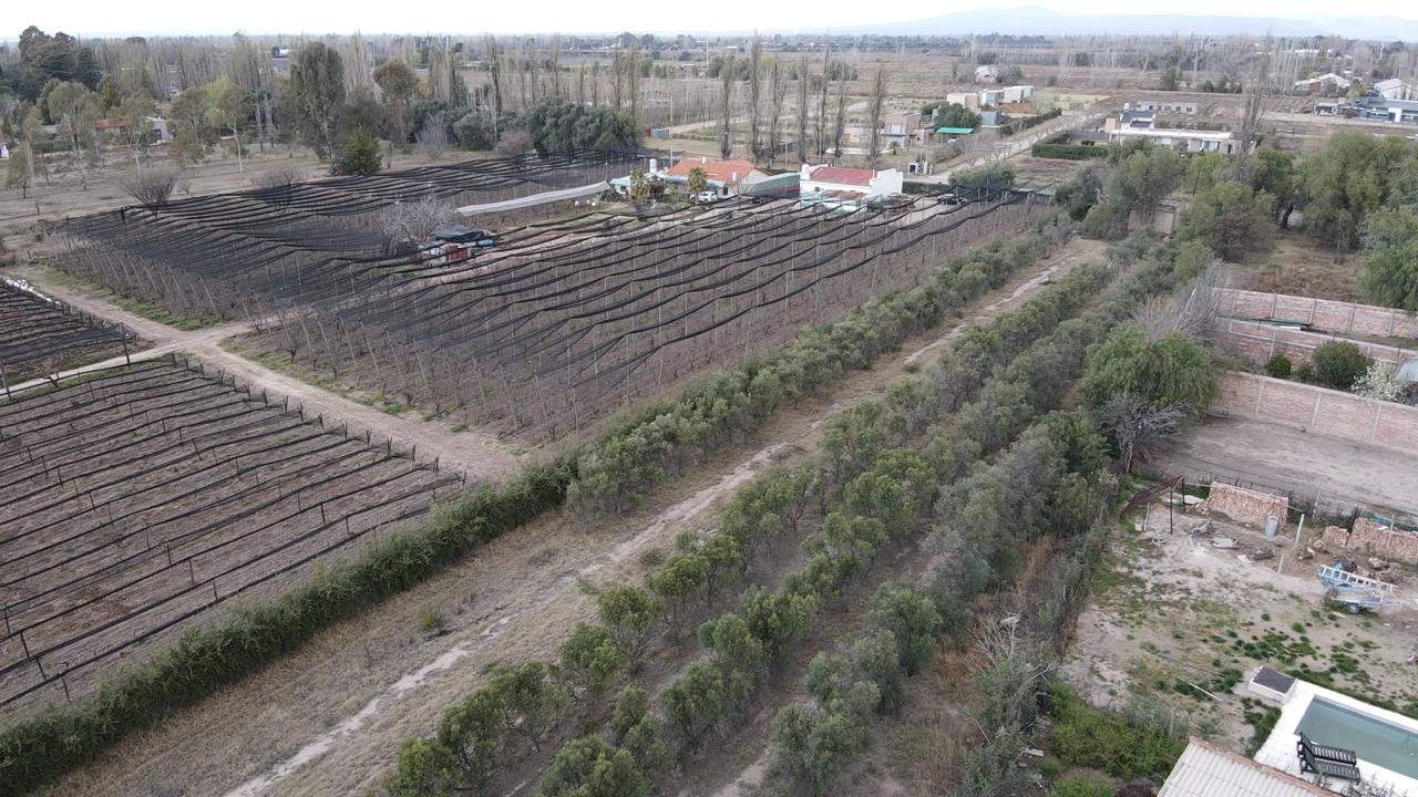 Terreno / Lote en venta de 9996m2 ubicado en Rama Caída - foto 3