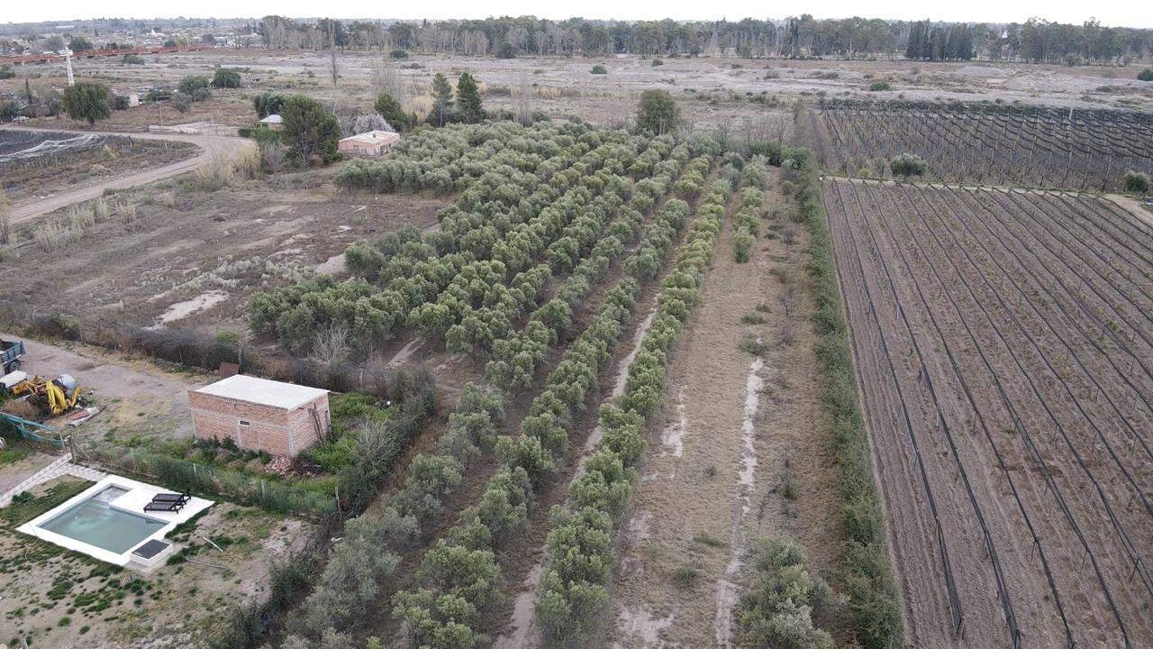 Terreno / Lote en venta de 9996m2 ubicado en Rama Caída - foto 4